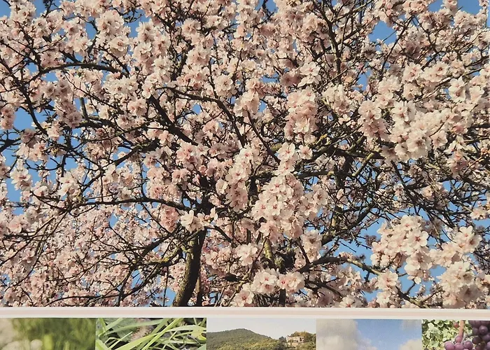 Isabell Wein & Pfalz Daire *