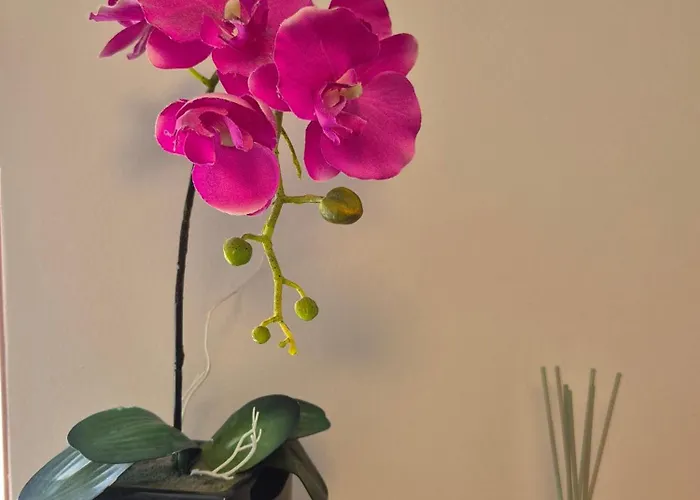 Isabell Wein & Pfalz Daire Sankt Martin